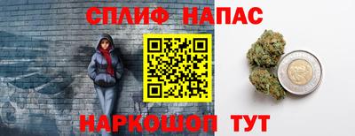 гашик Будённовск