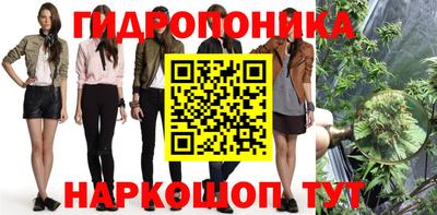 гашик Будённовск