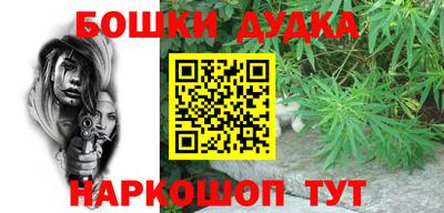 гашик Будённовск