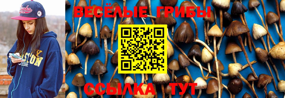 Псилоцибиновые грибы MAGIC MUSHROOMS Приморско-Ахтарск