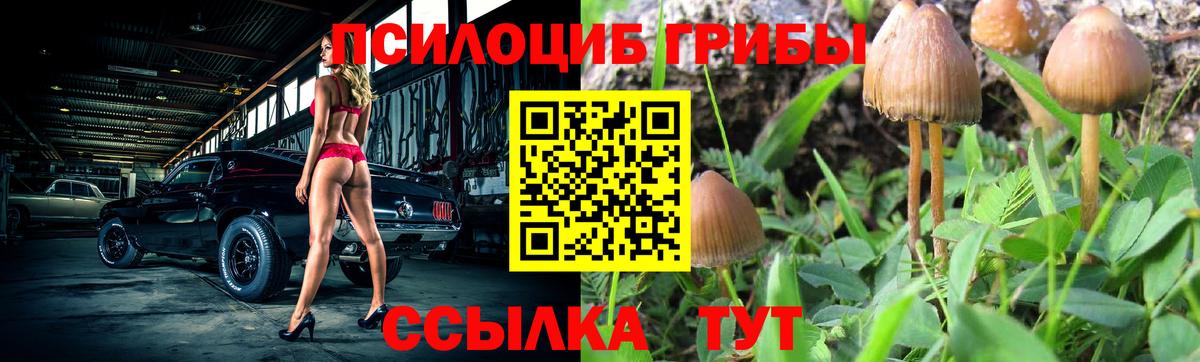 Приморско-Ахтарск  Псилоцибиновые грибы Cubensis  Галлюциногенные грибы Psilocybe  Вход с VPN 